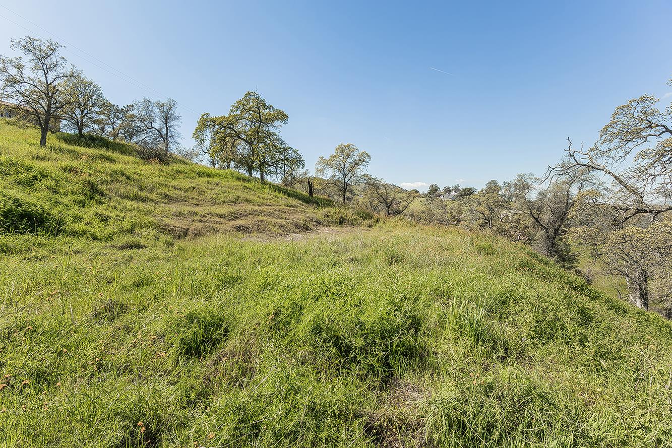 49760 Fine Gold Dr, Friant, CA 93626