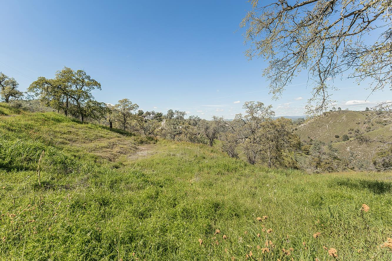 49760 Fine Gold Dr, Friant, CA 93626