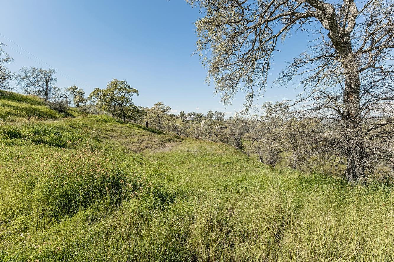 49760 Fine Gold Dr, Friant, CA 93626