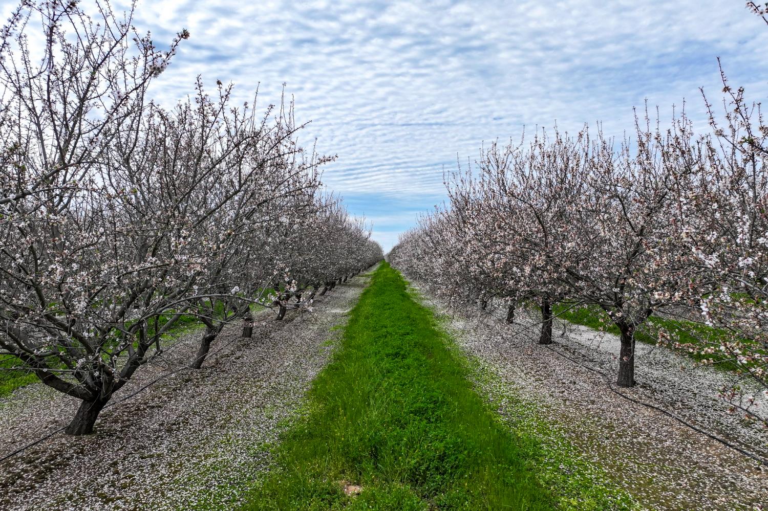 10847 E Belmont Ave, Sanger, CA 93657