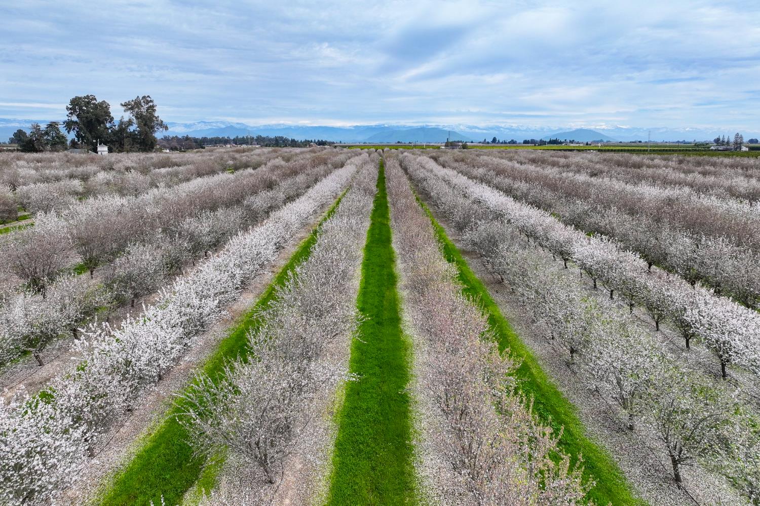 10847 E Belmont Ave, Sanger, CA 93657