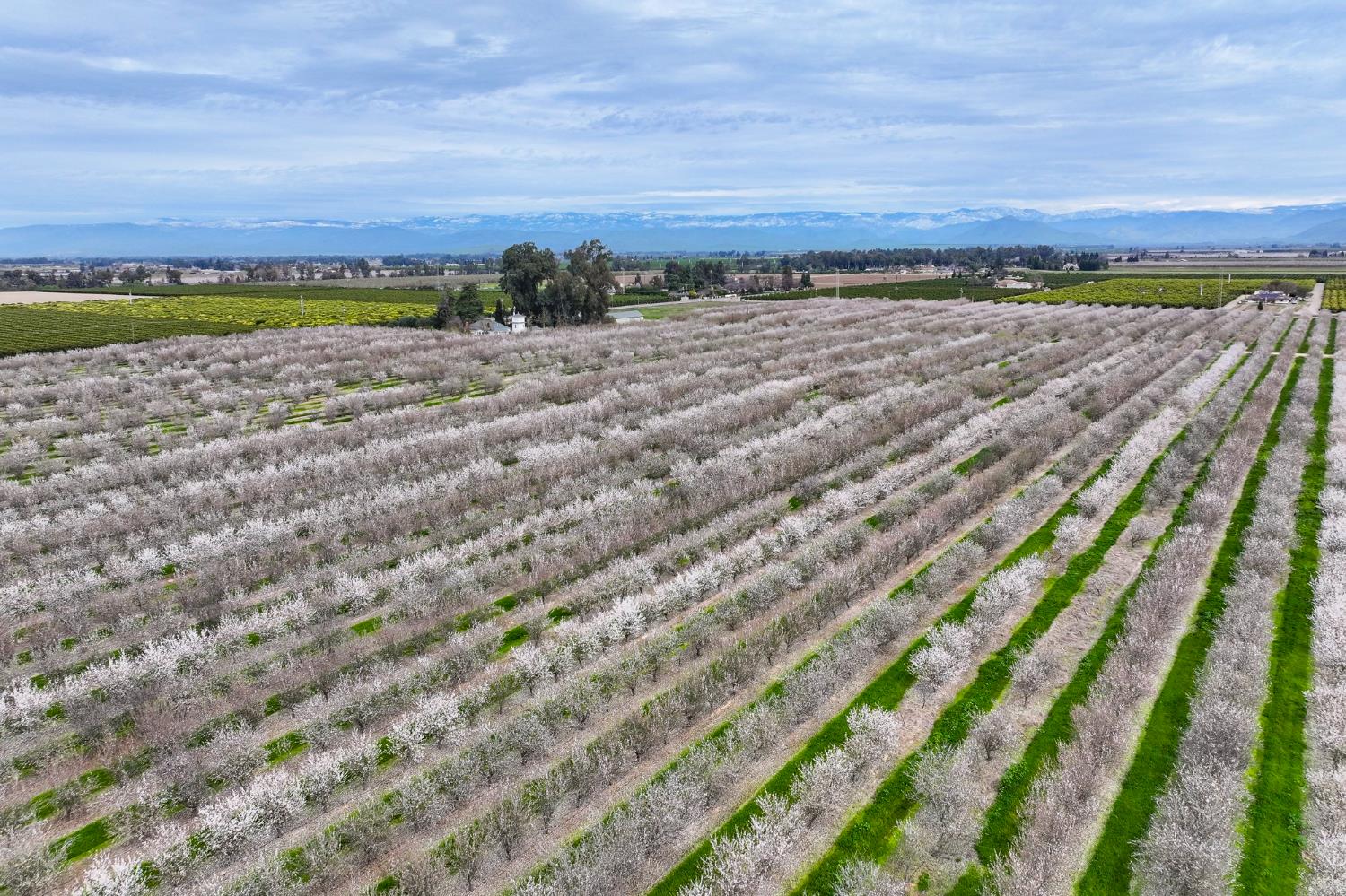 10847 E Belmont Ave, Sanger, CA 93657