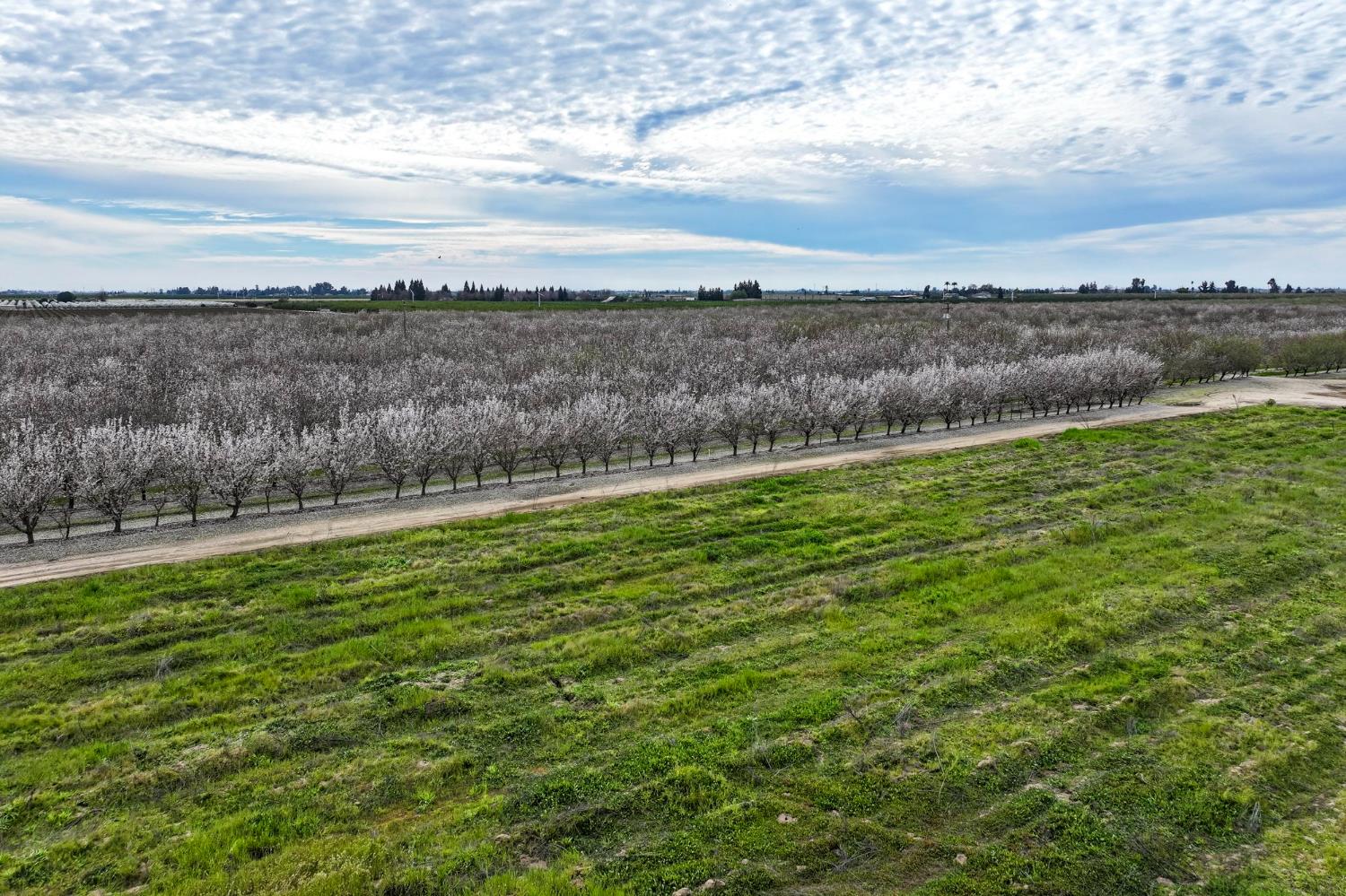 10847 E Belmont Ave, Sanger, CA 93657