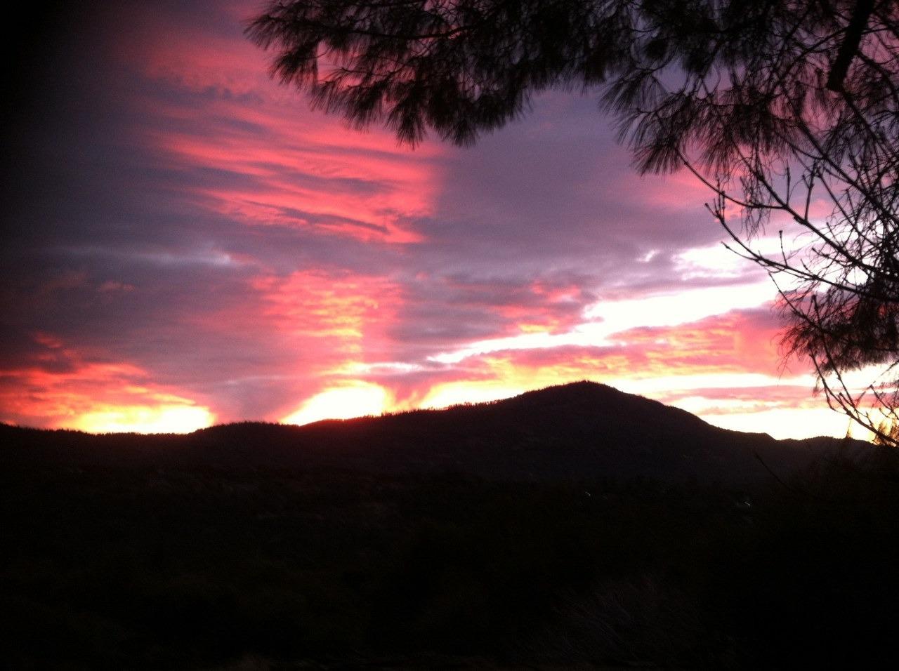 39406 John West Rd, Oakhurst, CA 93644