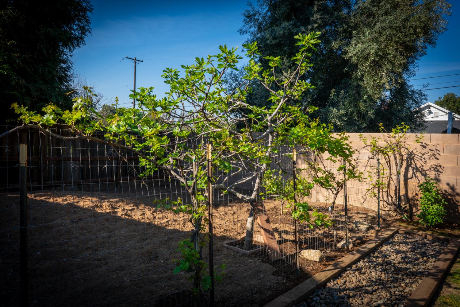 294 W San Bruno Ave, Fresno, CA 93704