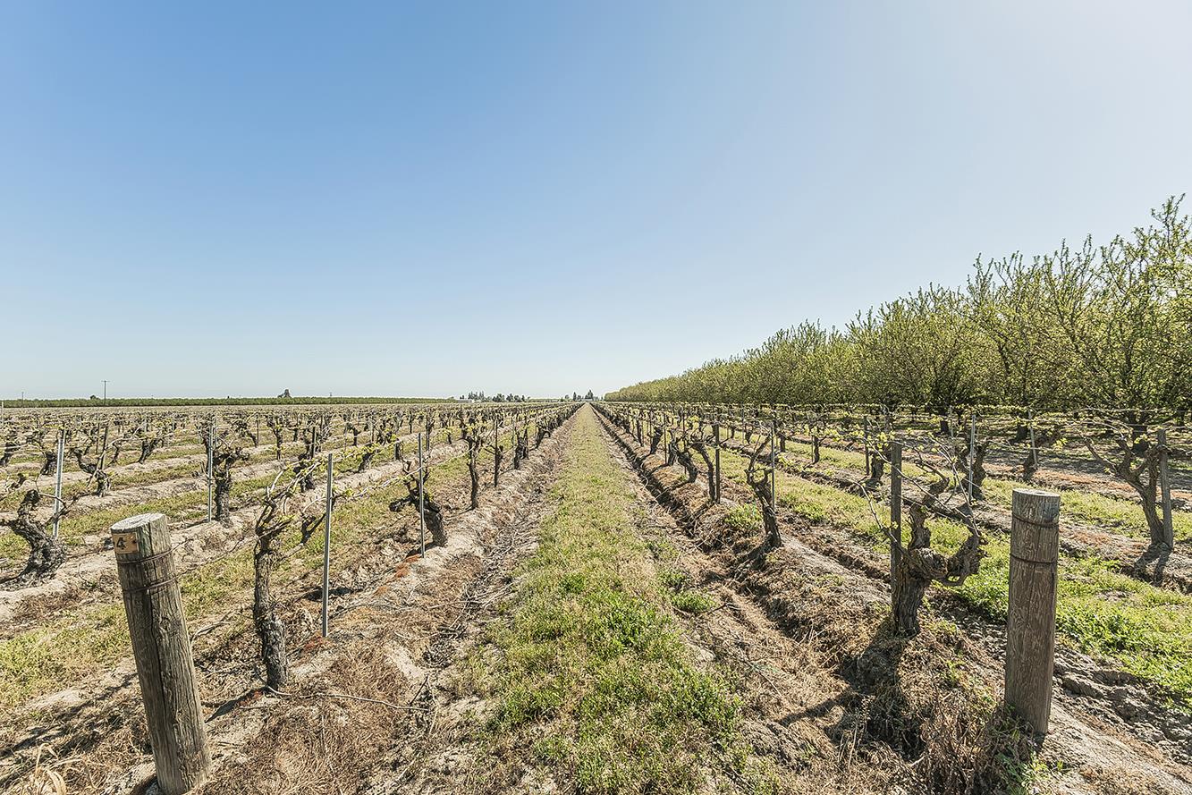 5290 N Bishop Ave, Fresno, CA 93723