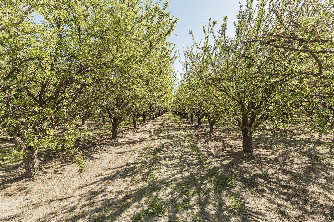 5290 N Bishop Ave, Fresno, CA 93723