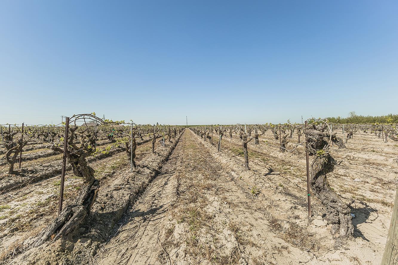 5290 N Bishop Ave, Fresno, CA 93723