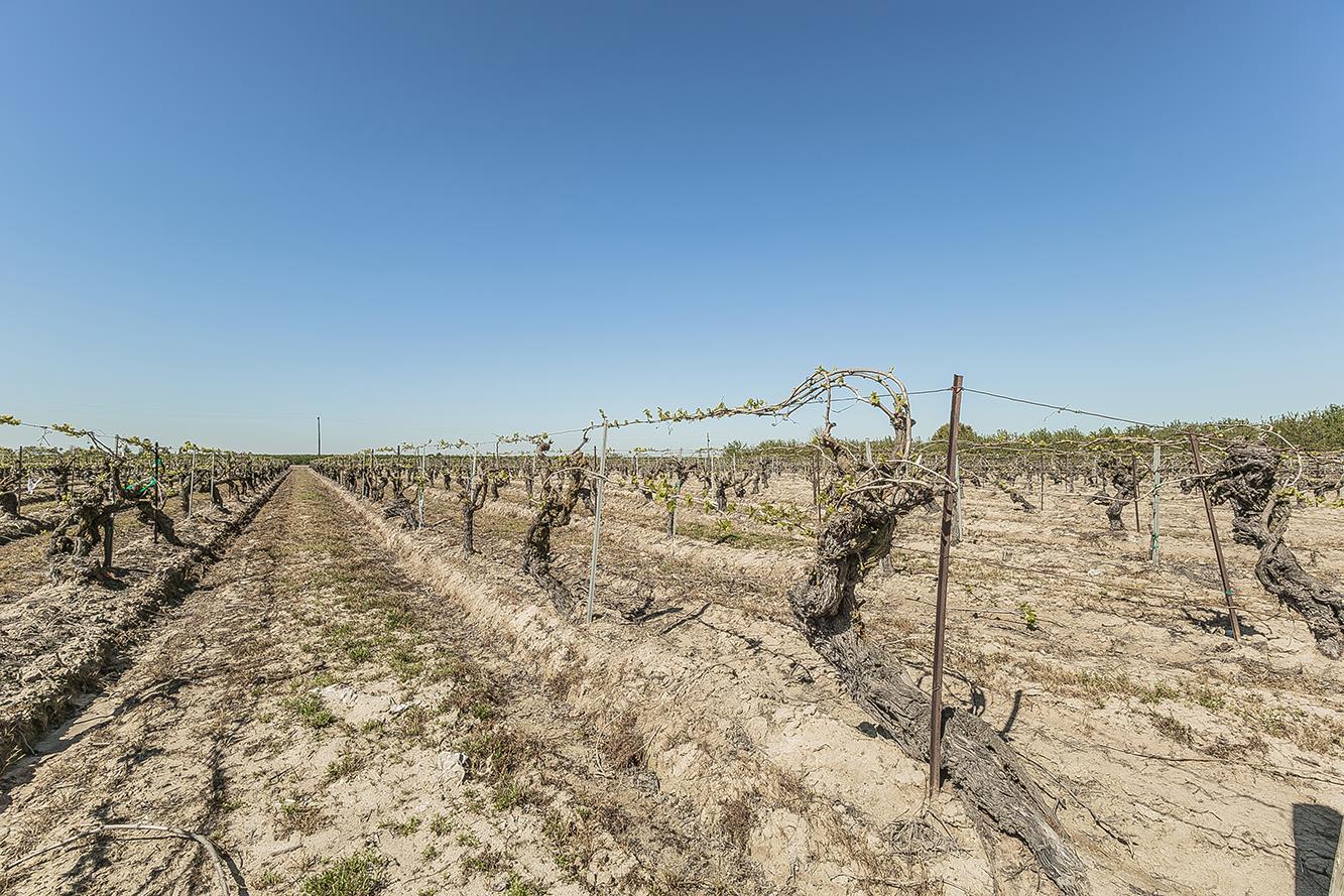 5290 N Bishop Ave, Fresno, CA 93723