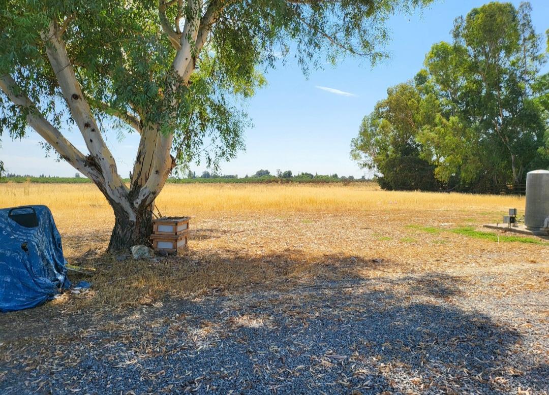 2744 N Locan Ave, Fresno, CA 93737