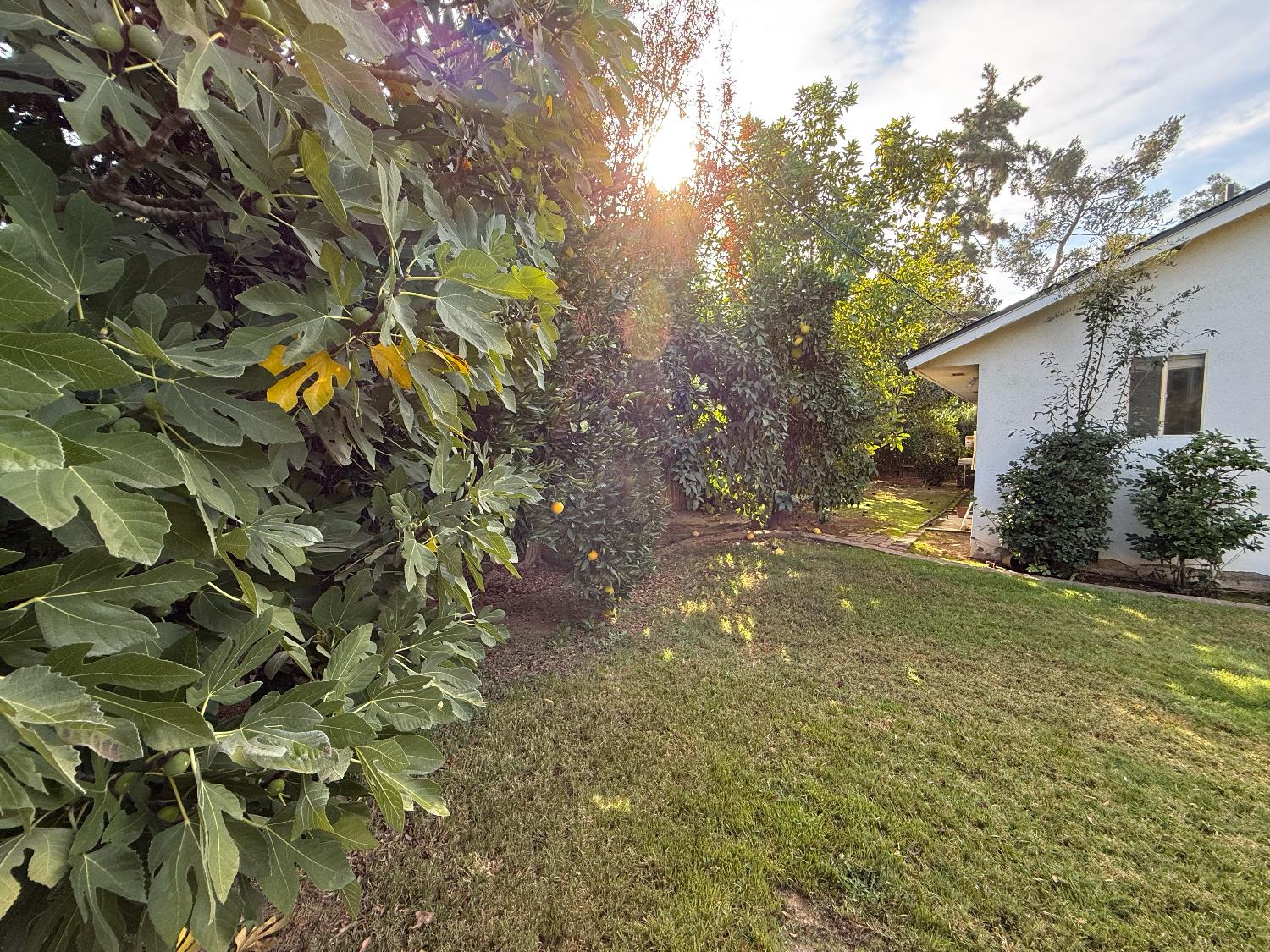 2510 W Escalon Ave, Fresno, CA 93711