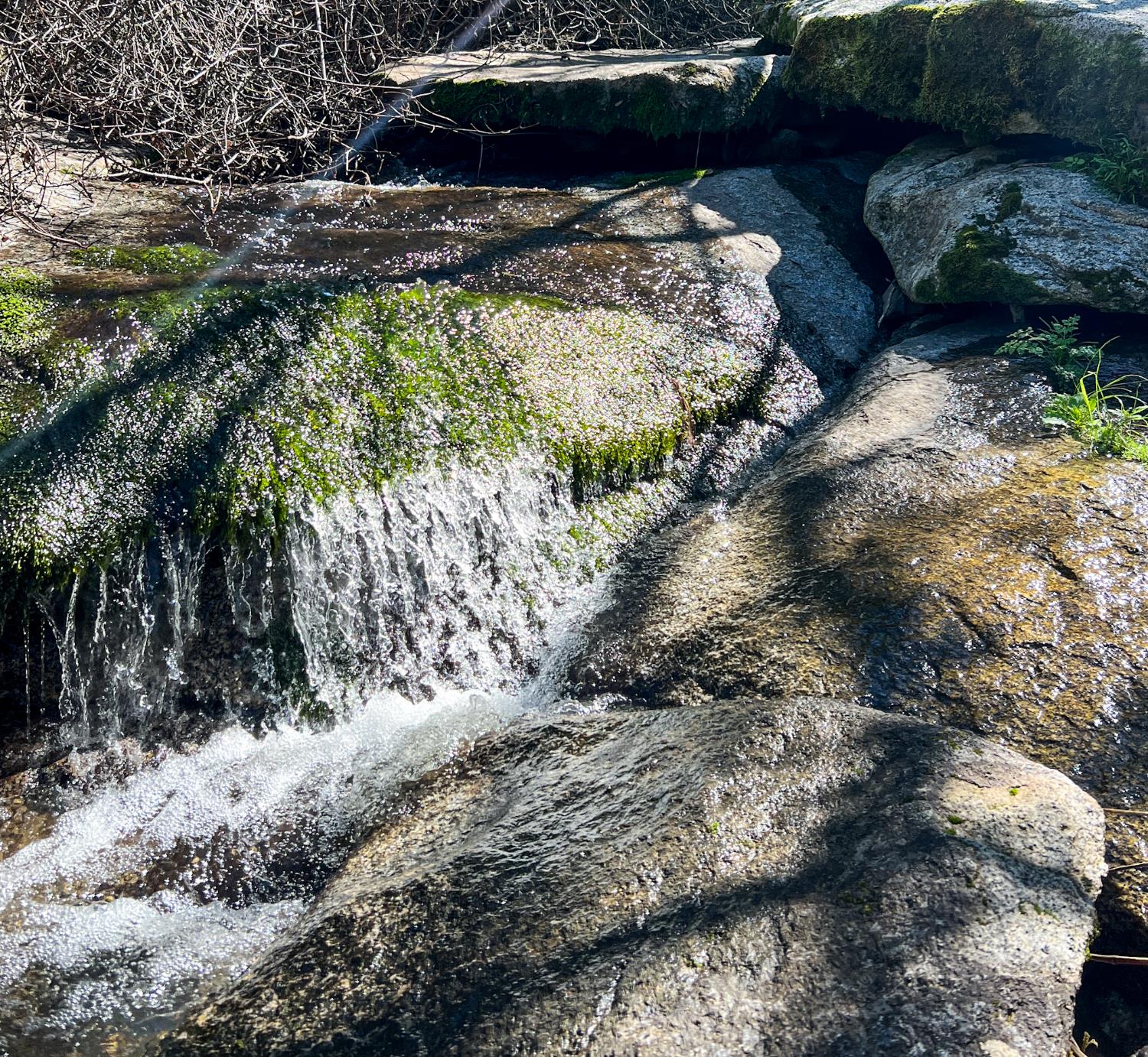 44981 Todd Eymann Rd, Miramonte, CA 93641