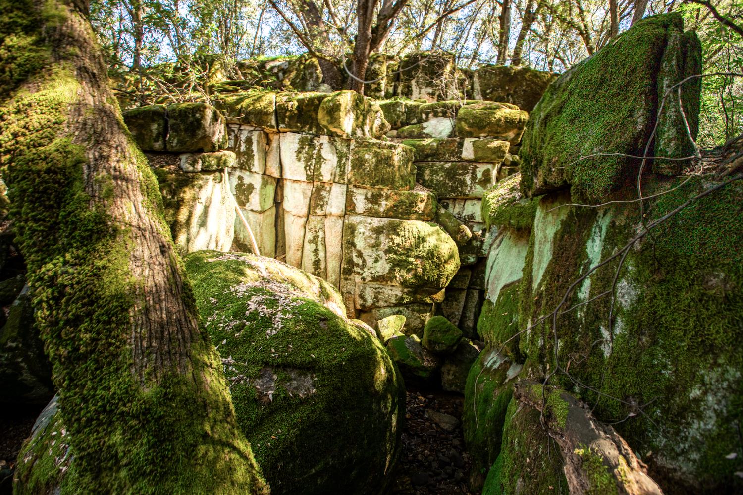 44981 Todd Eymann Rd, Miramonte, CA 93641