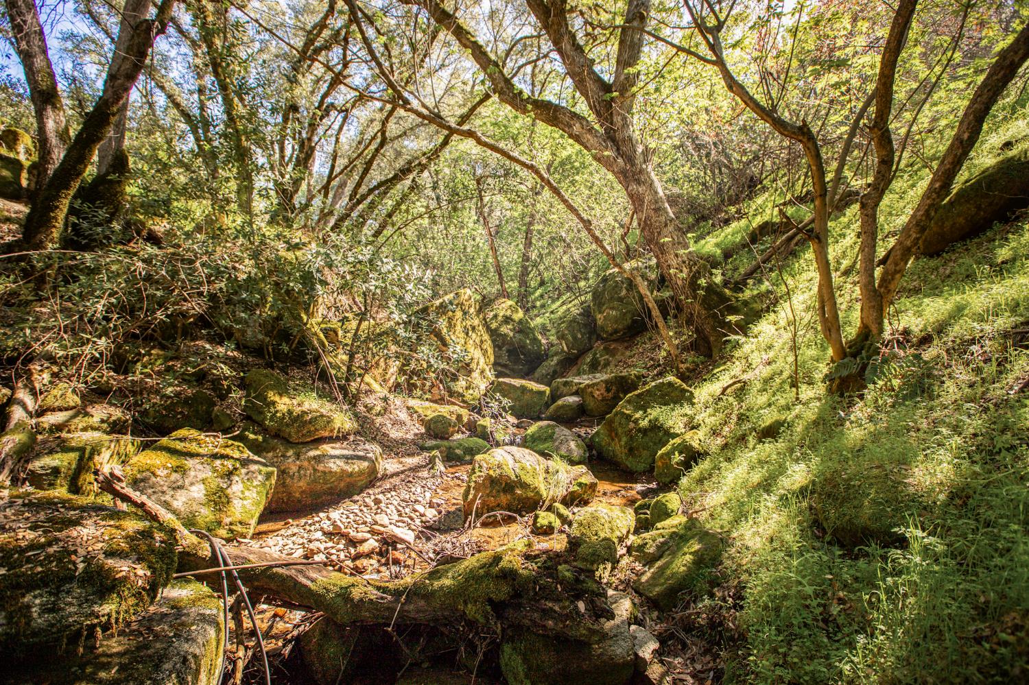 44981 Todd Eymann Rd, Miramonte, CA 93641