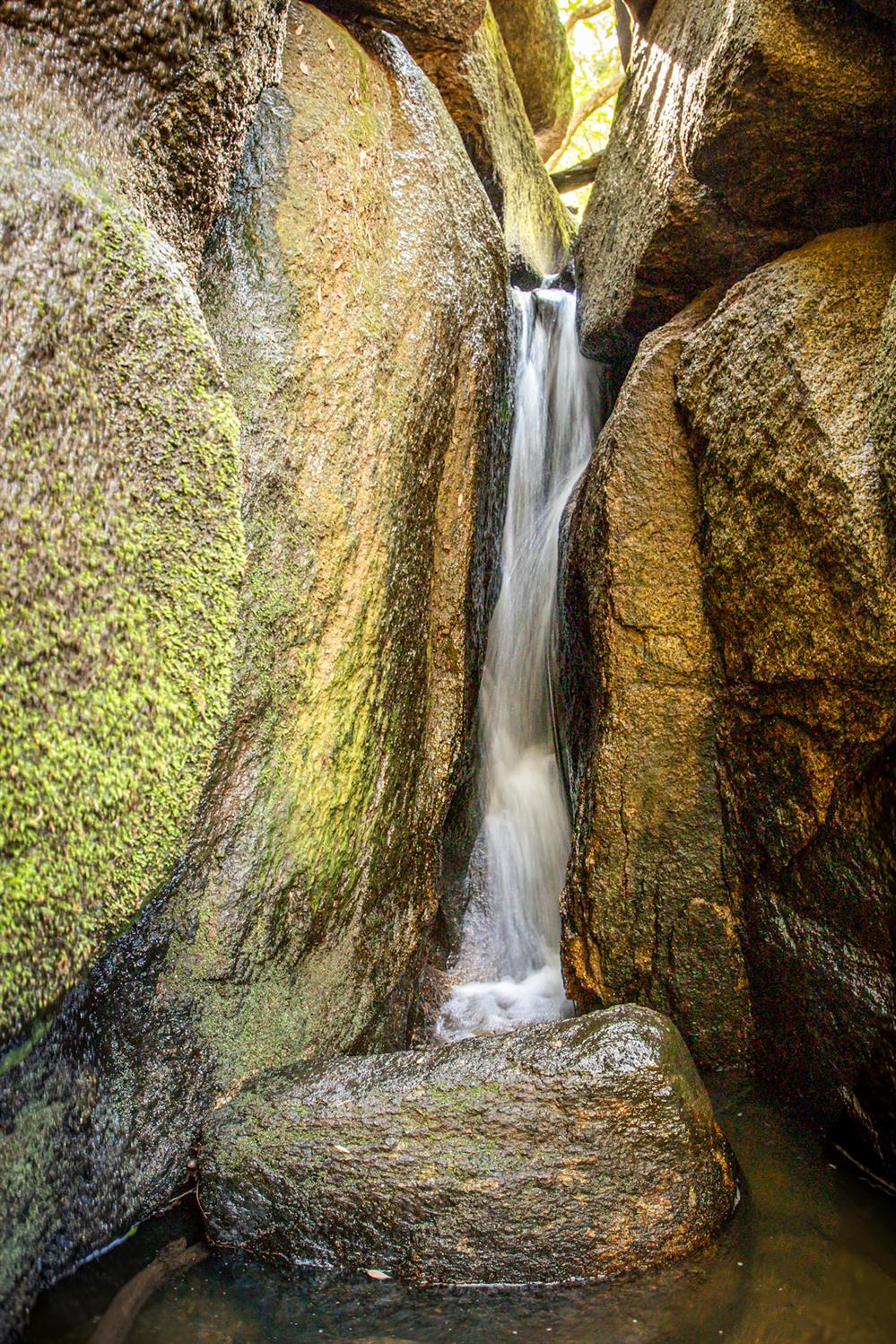 44981 Todd Eymann Rd, Miramonte, CA 93641