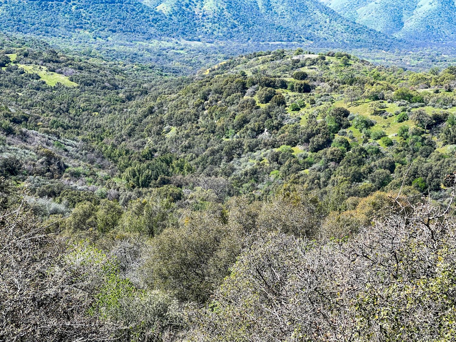 44981 Todd Eymann Rd, Miramonte, CA 93641