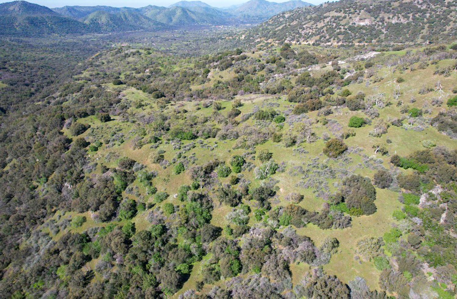 44981 Todd Eymann Rd, Miramonte, CA 93641