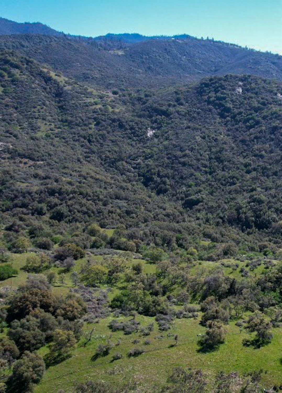 44981 Todd Eymann Rd, Miramonte, CA 93641