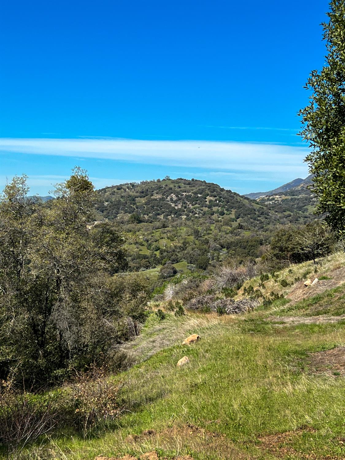 44981 Todd Eymann Rd, Miramonte, CA 93641