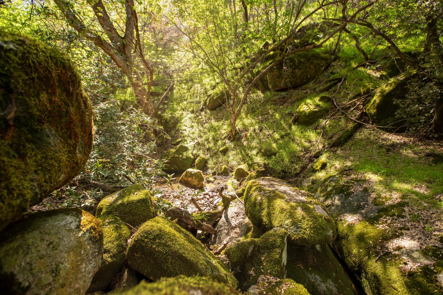 44981 Todd Eymann Rd, Miramonte, CA 93641