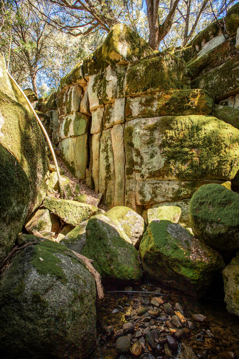 44981 Todd Eymann Rd, Miramonte, CA 93641