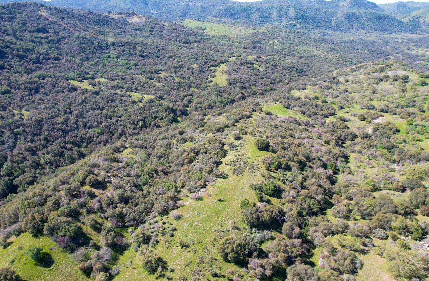 44981 Todd Eymann Rd, Miramonte, CA 93641