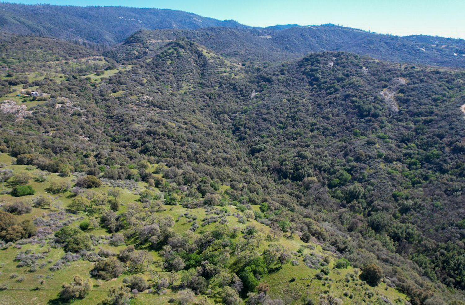 44981 Todd Eymann Rd, Miramonte, CA 93641