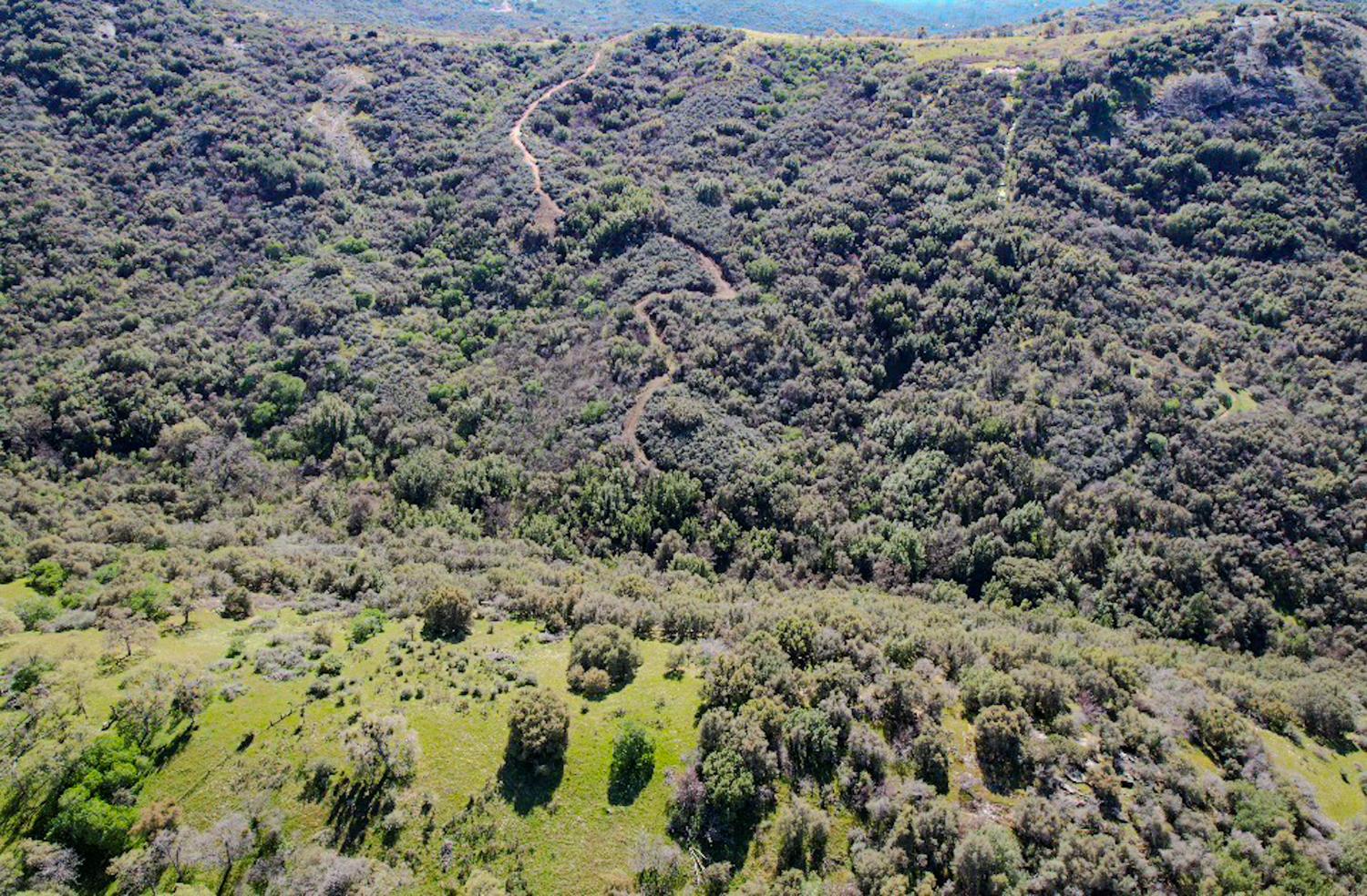 44981 Todd Eymann Rd, Miramonte, CA 93641