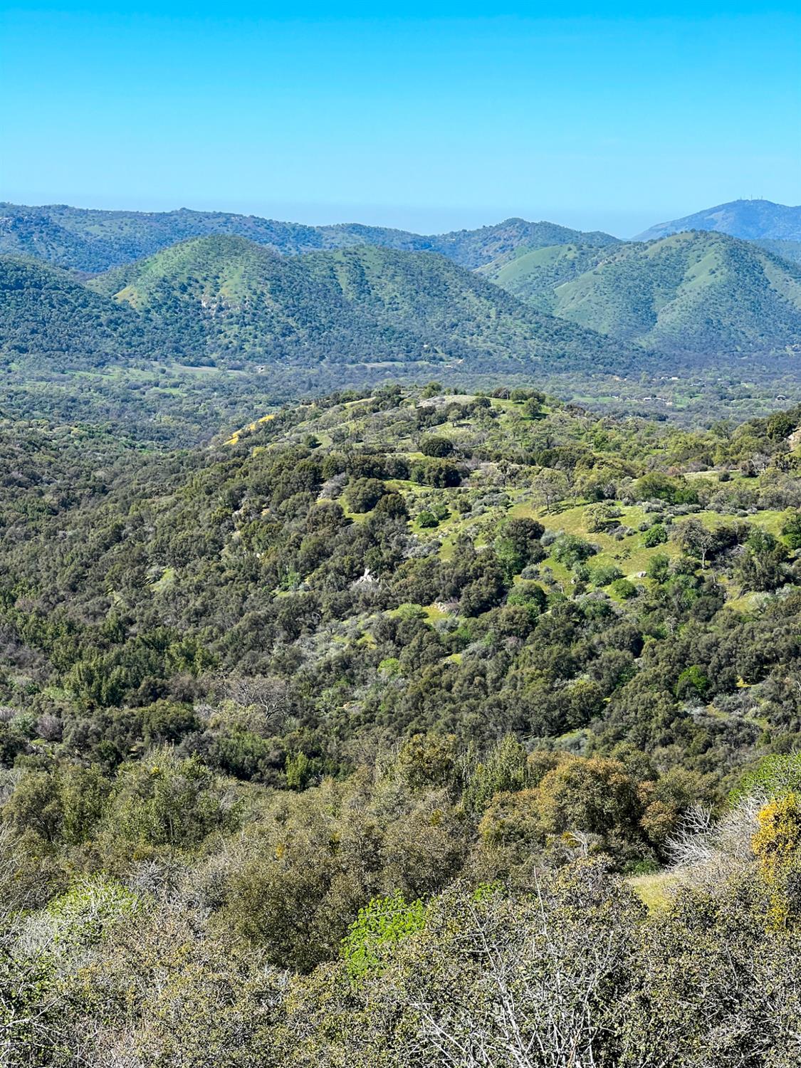 44981 Todd Eymann Rd, Miramonte, CA 93641