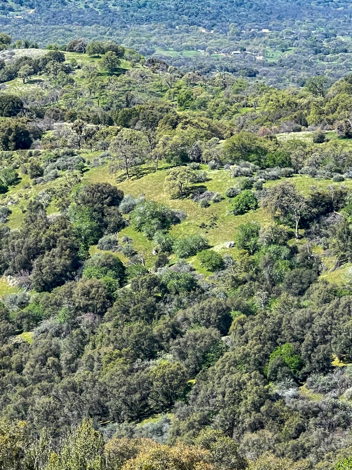 44981 Todd Eymann Rd, Miramonte, CA 93641