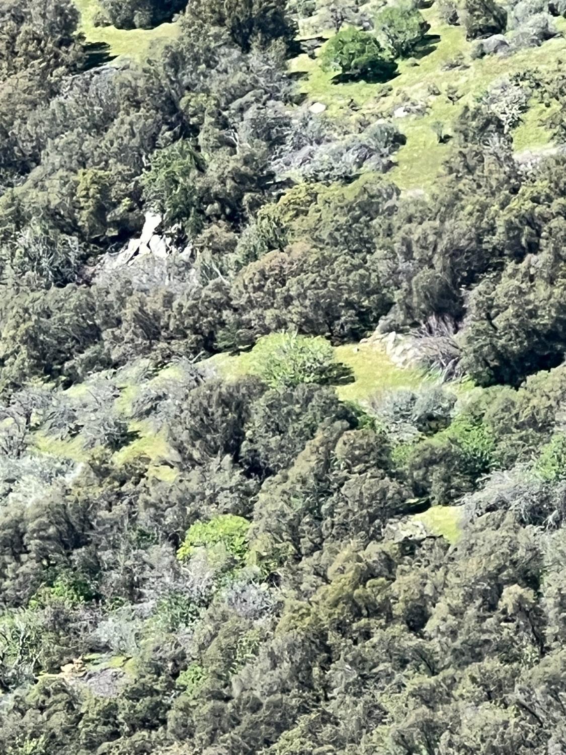 44981 Todd Eymann Rd, Miramonte, CA 93641