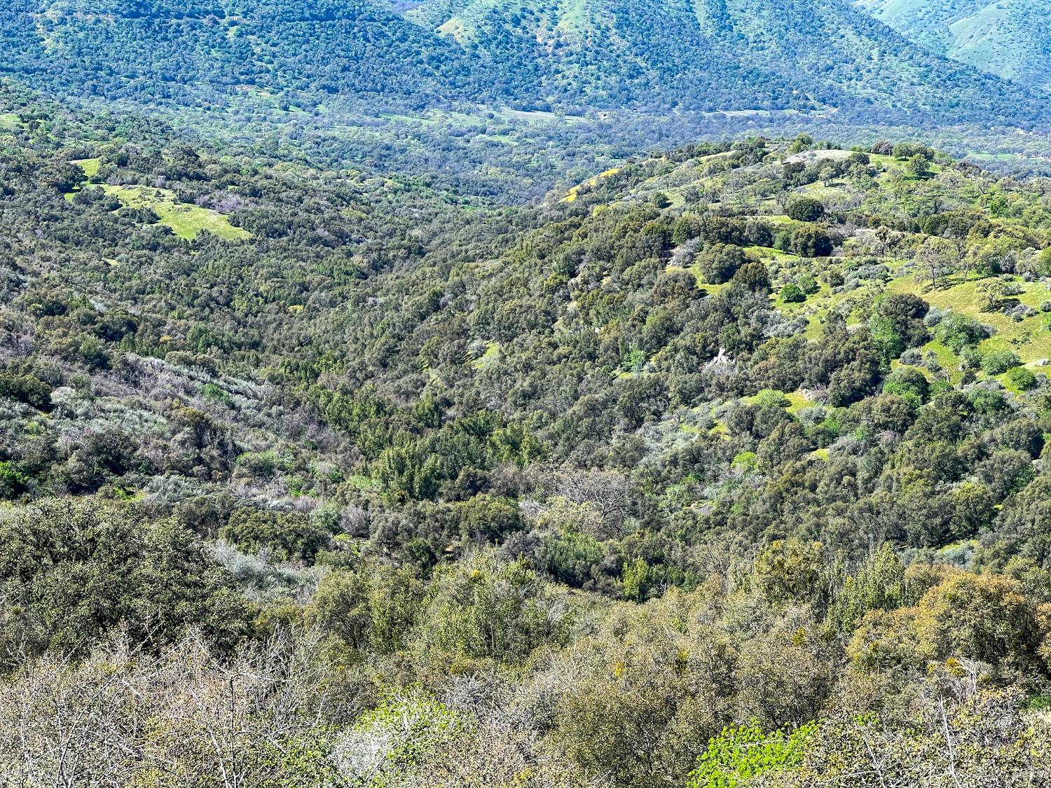 44981 Todd Eymann Rd, Miramonte, CA 93641