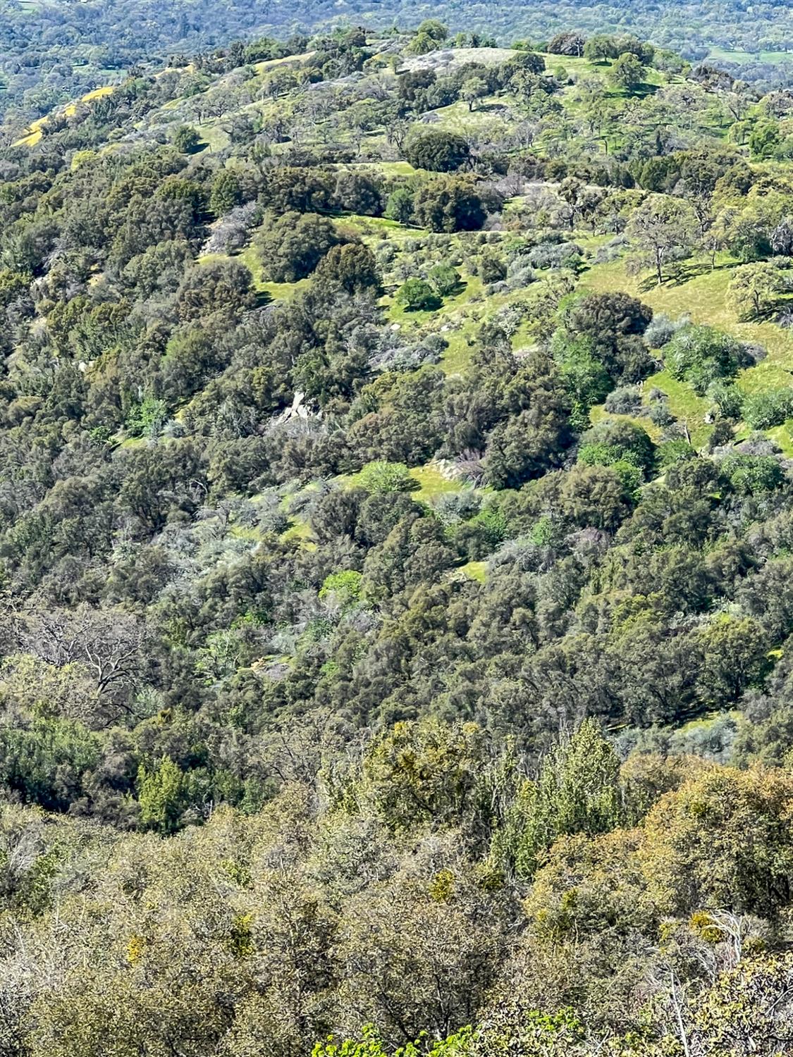 44981 Todd Eymann Rd, Miramonte, CA 93641