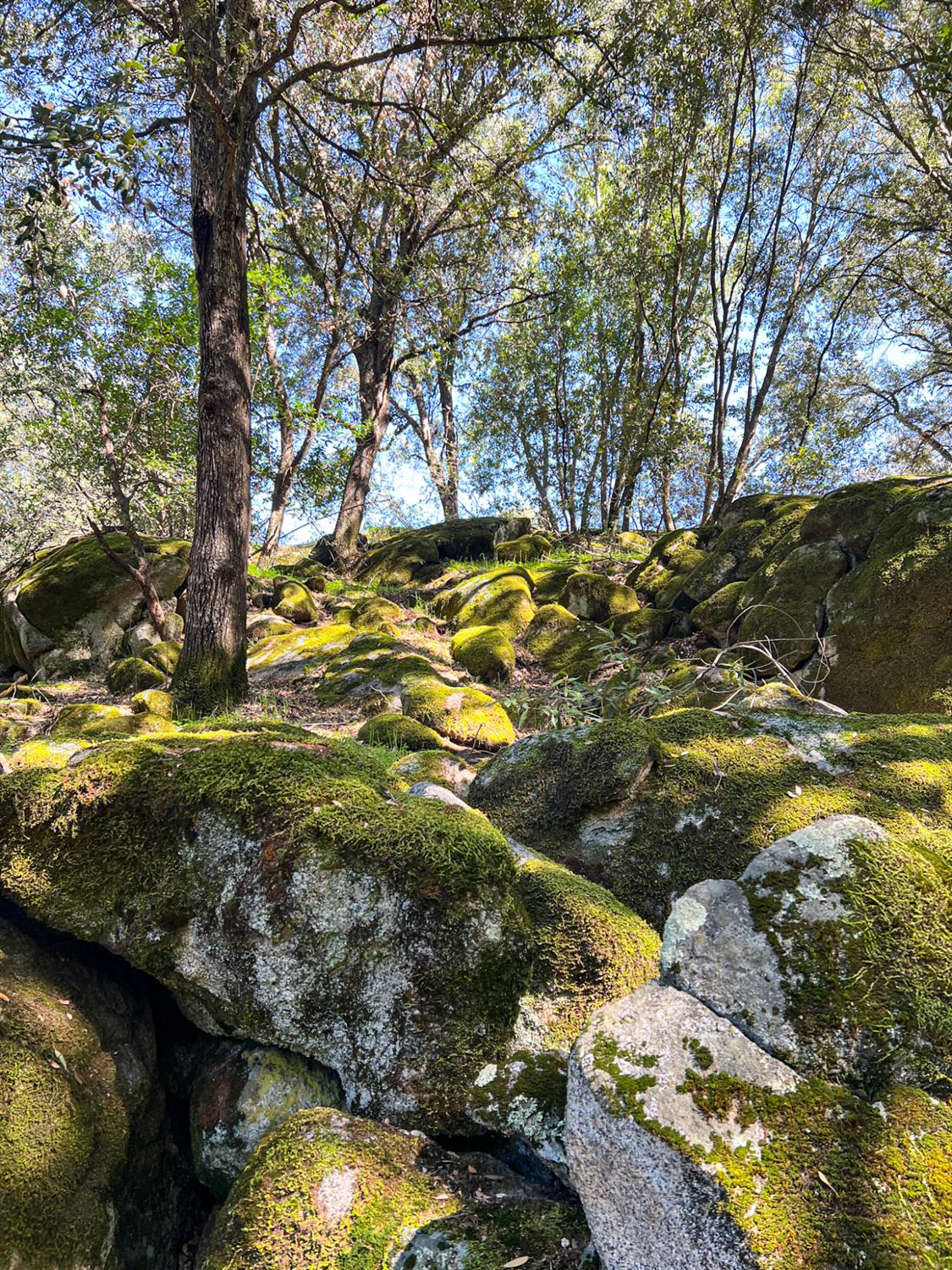 44981 Todd Eymann Rd, Miramonte, CA 93641