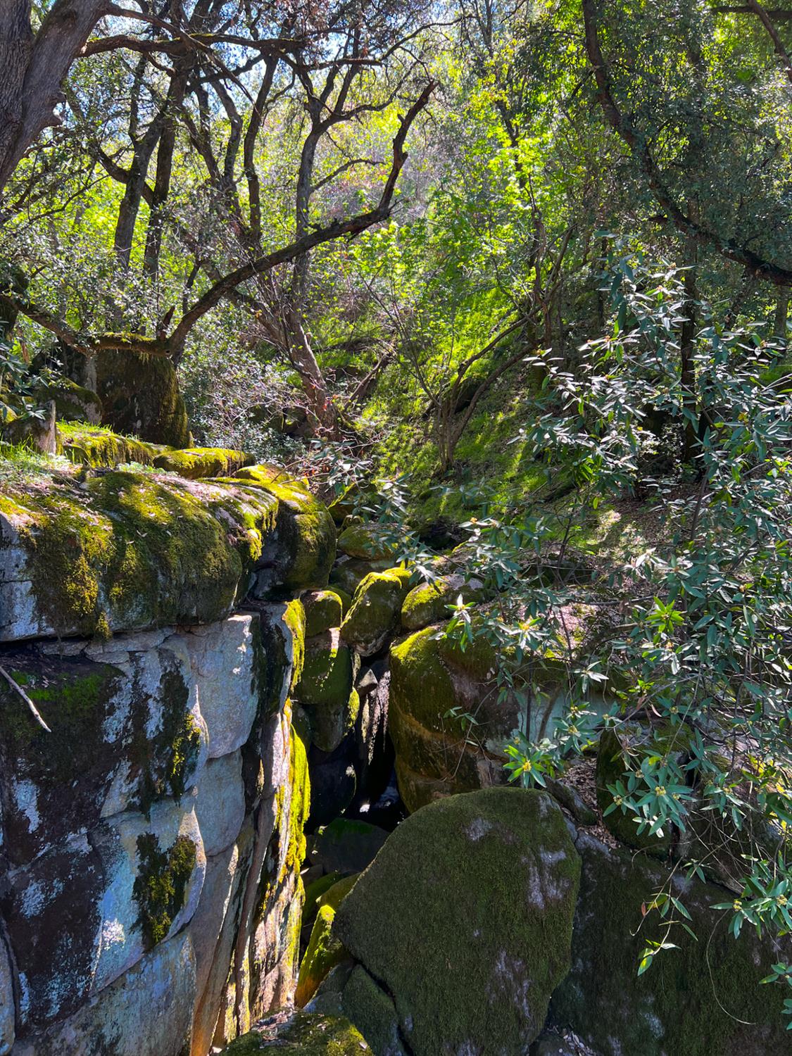 44981 Todd Eymann Rd, Miramonte, CA 93641