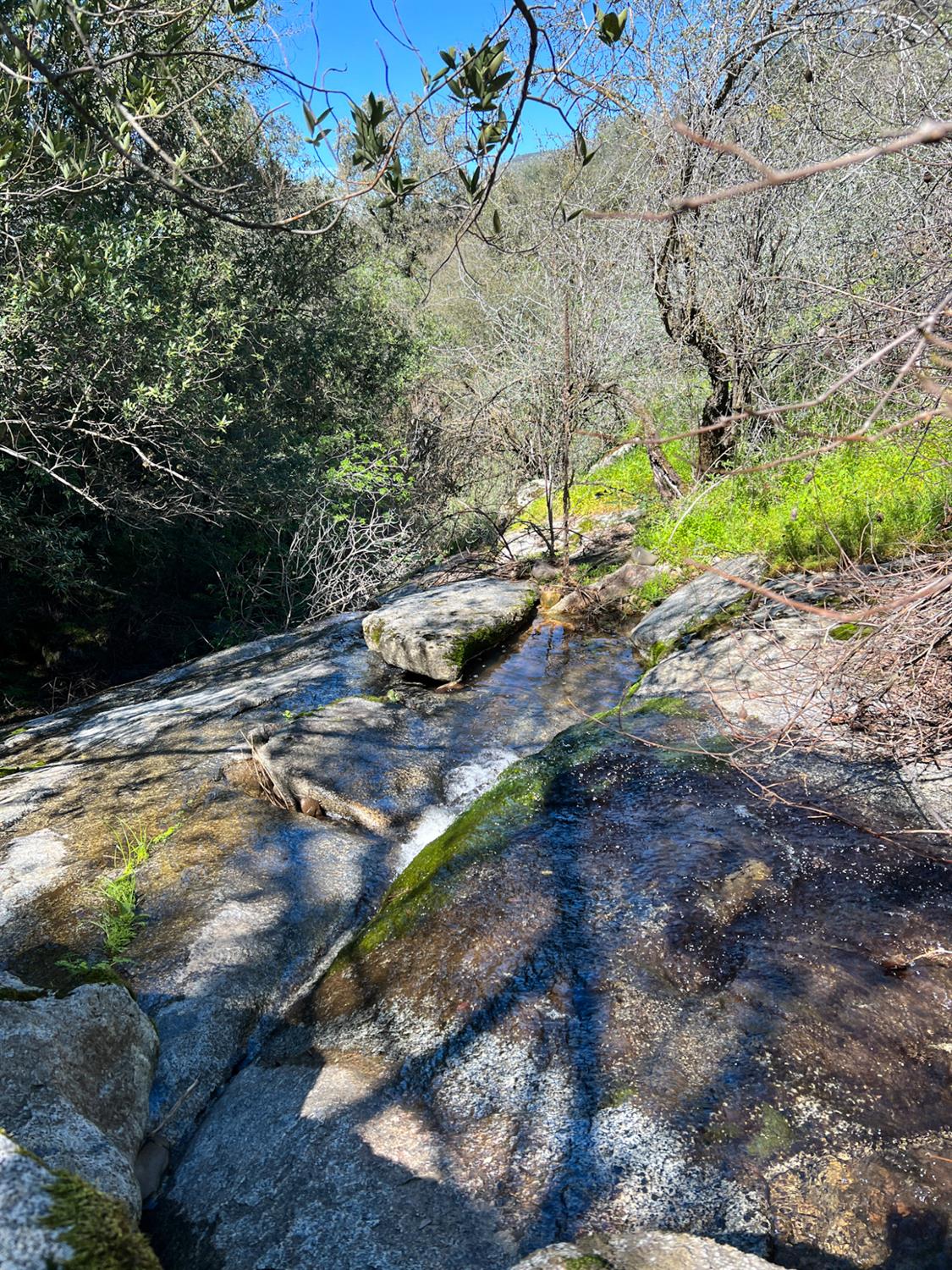 44981 Todd Eymann Rd, Miramonte, CA 93641