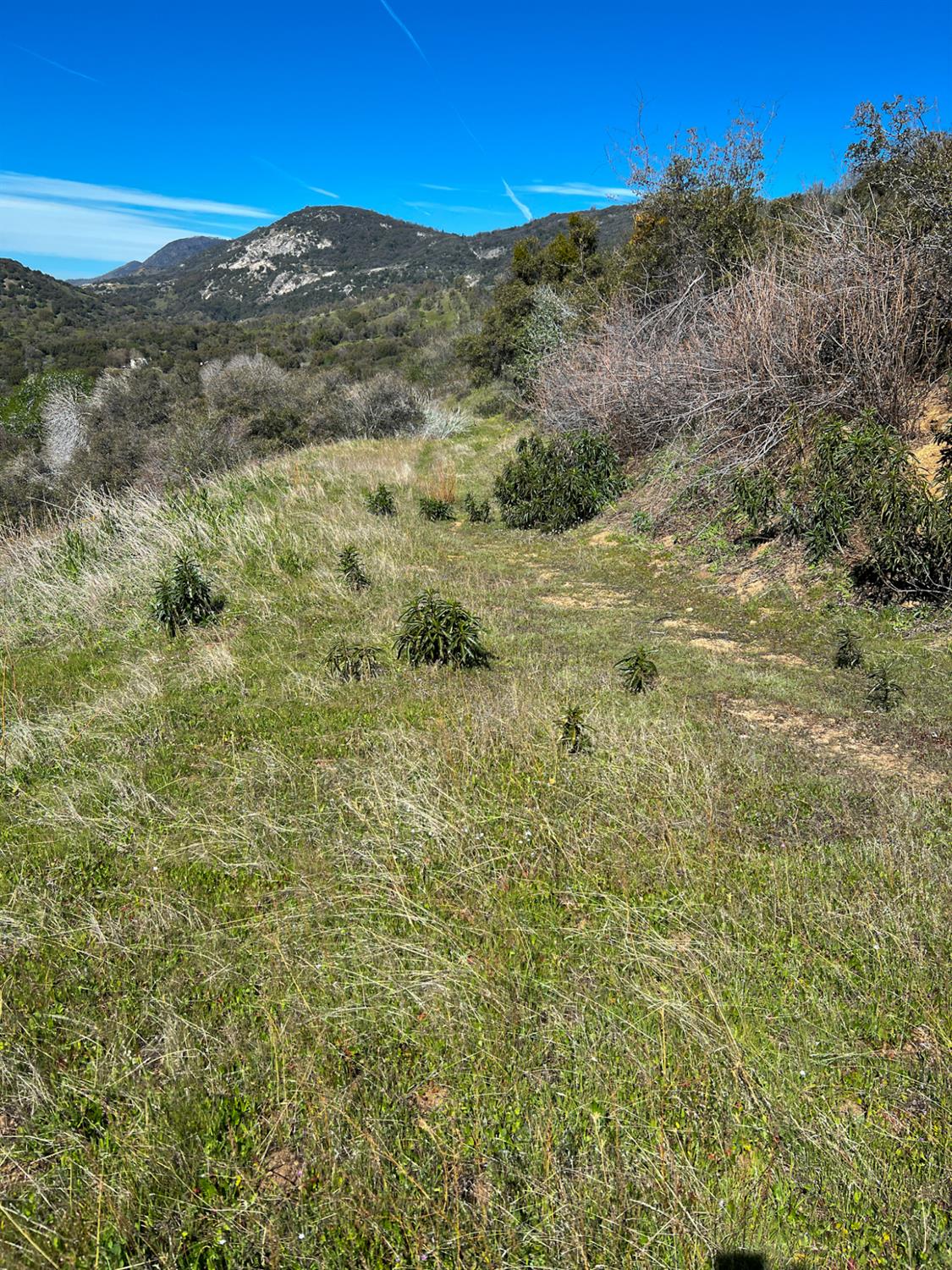 44981 Todd Eymann Rd, Miramonte, CA 93641