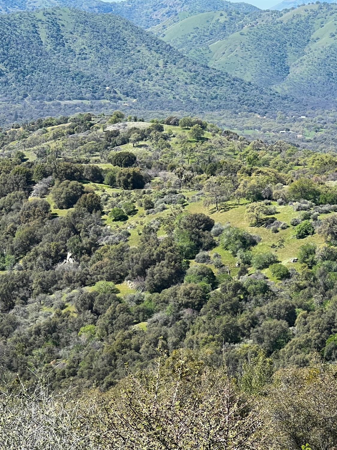 44981 Todd Eymann Rd, Miramonte, CA 93641