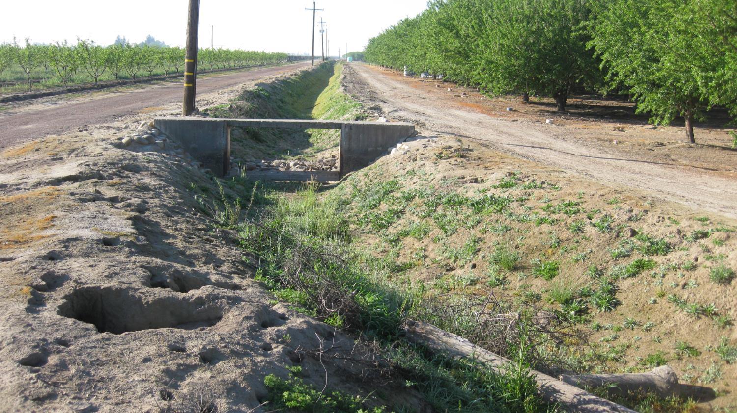 15270 S Mccall Ave, Kingsburg, CA 93631