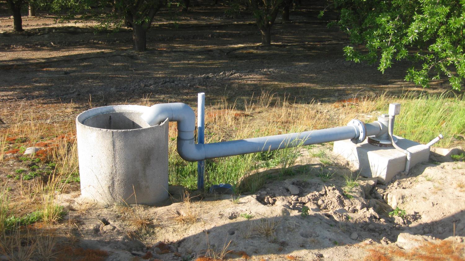 15270 S Mccall Ave, Kingsburg, CA 93631