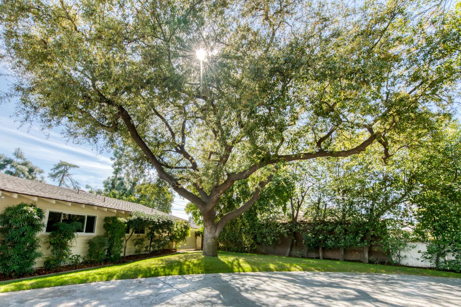 1449 W Barstow Ave, Fresno, CA 93711