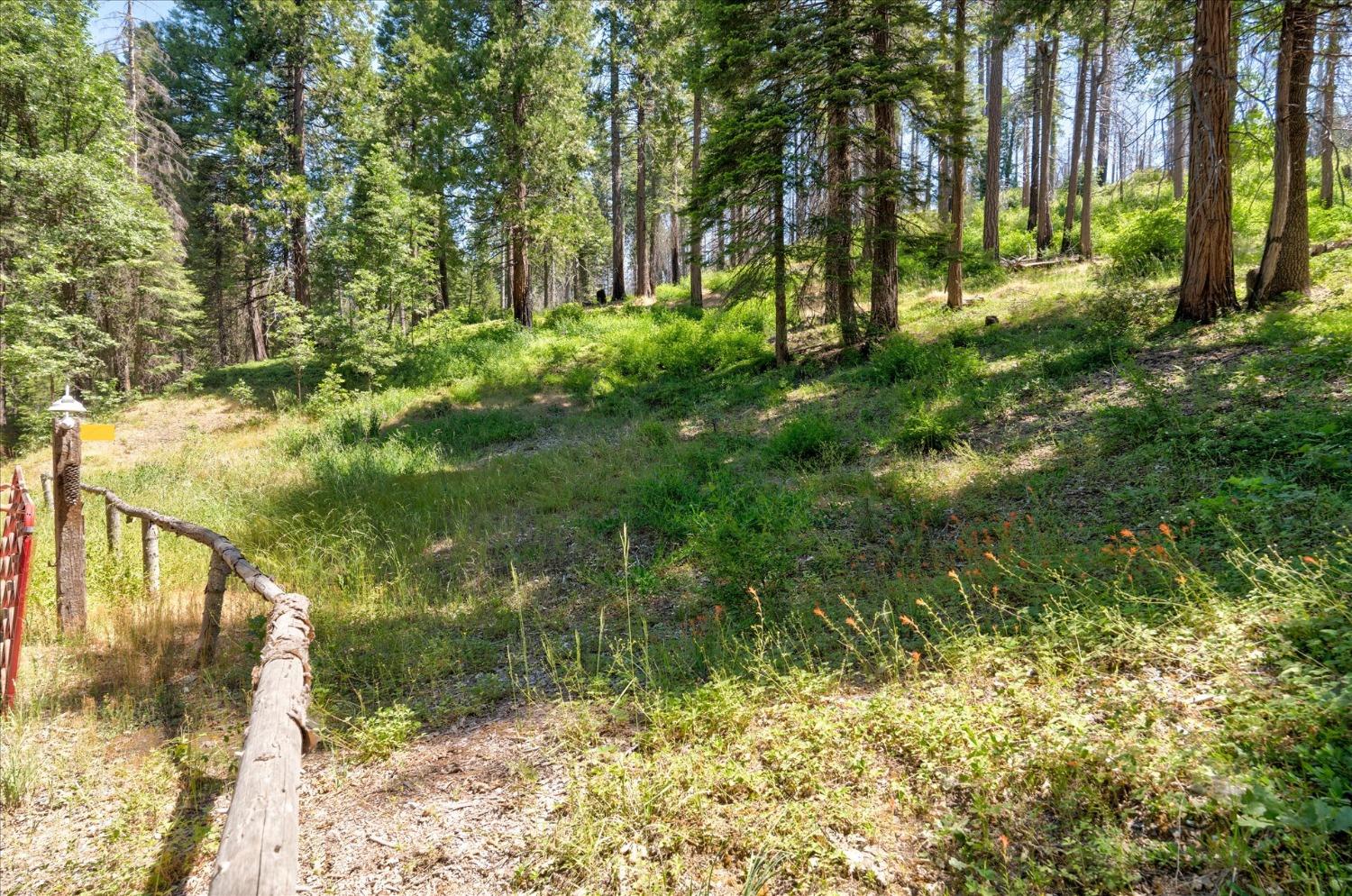 47824 Brammer Purl, Oakhurst, CA 93644