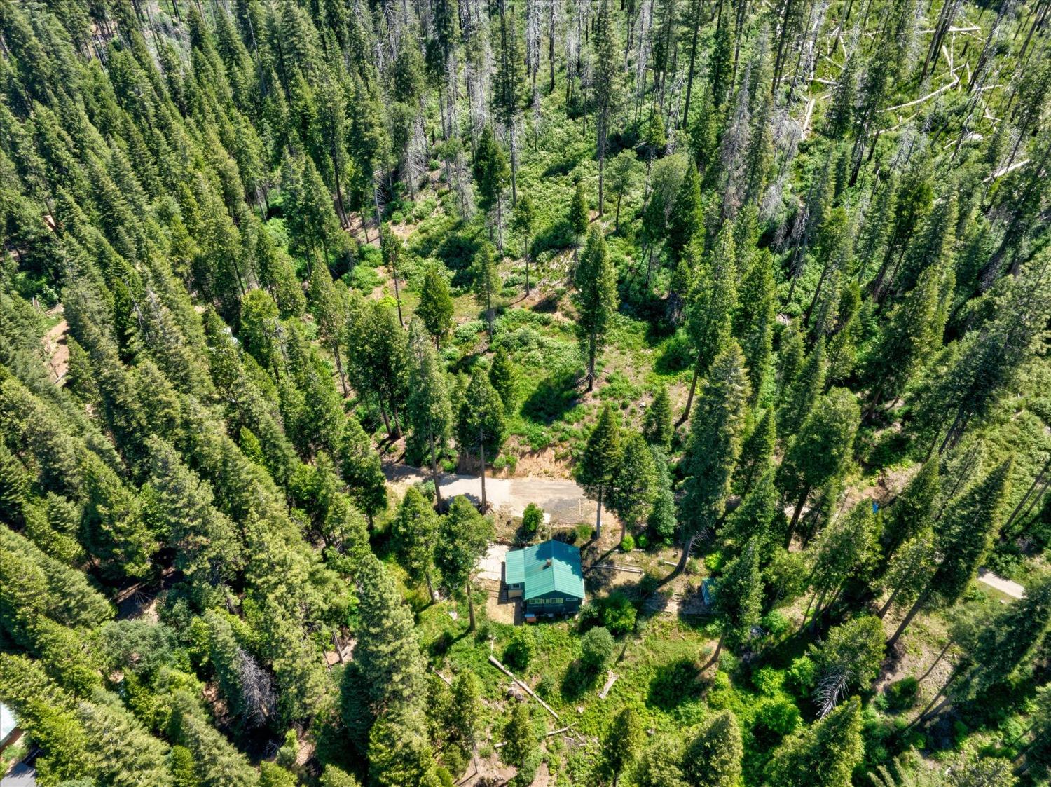 47824 Brammer Purl, Oakhurst, CA 93644