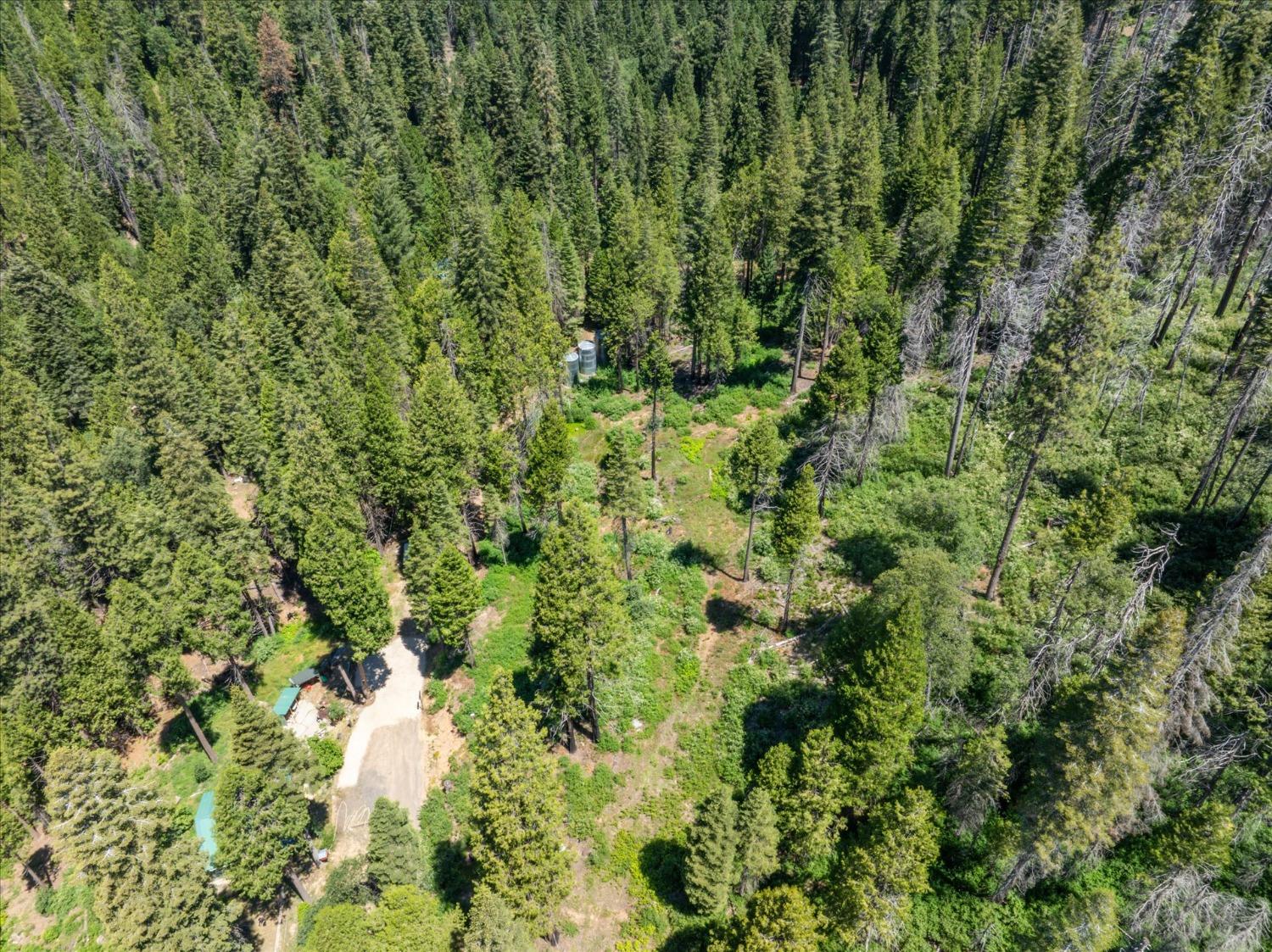 47824 Brammer Purl, Oakhurst, CA 93644