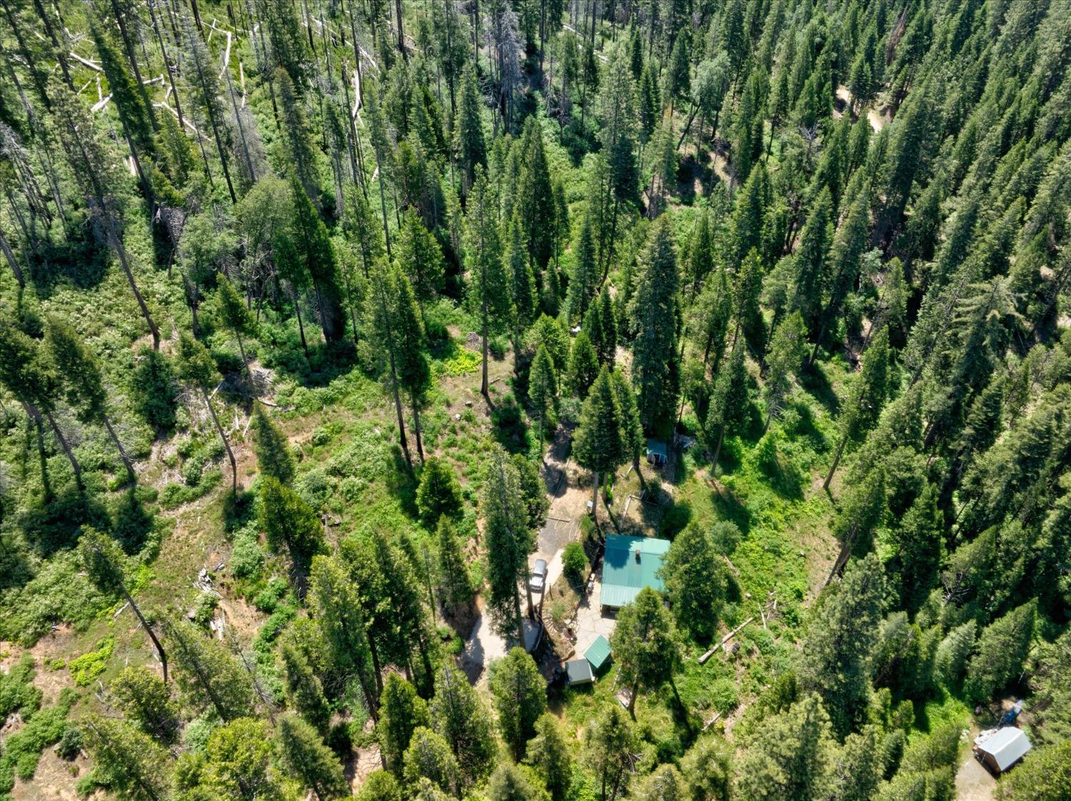 47824 Brammer Purl, Oakhurst, CA 93644