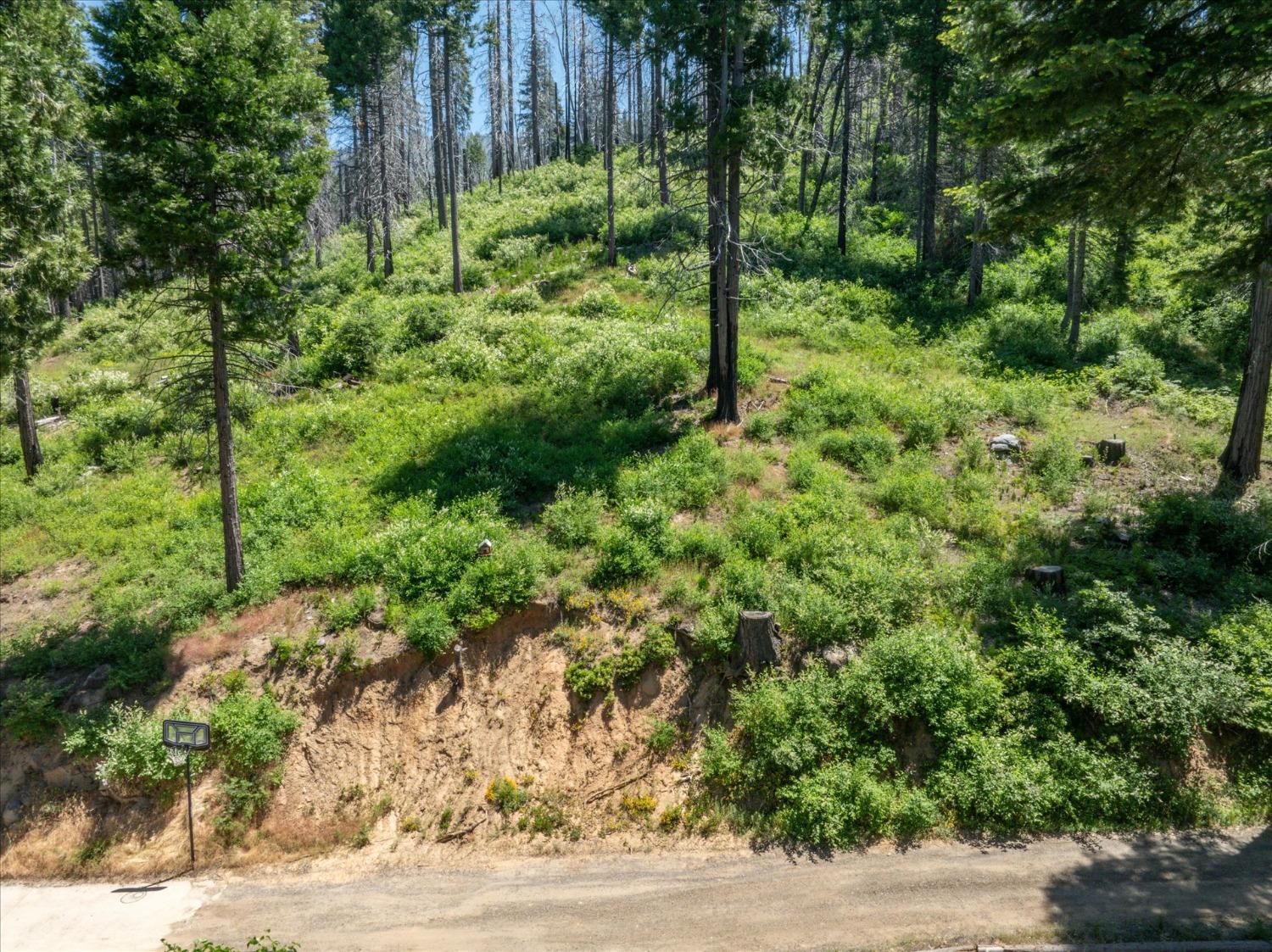 47824 Brammer Purl, Oakhurst, CA 93644