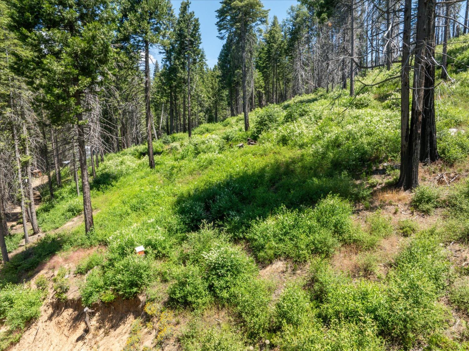 47824 Brammer Purl, Oakhurst, CA 93644