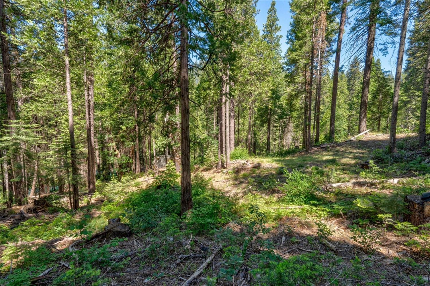 47824 Brammer Purl, Oakhurst, CA 93644