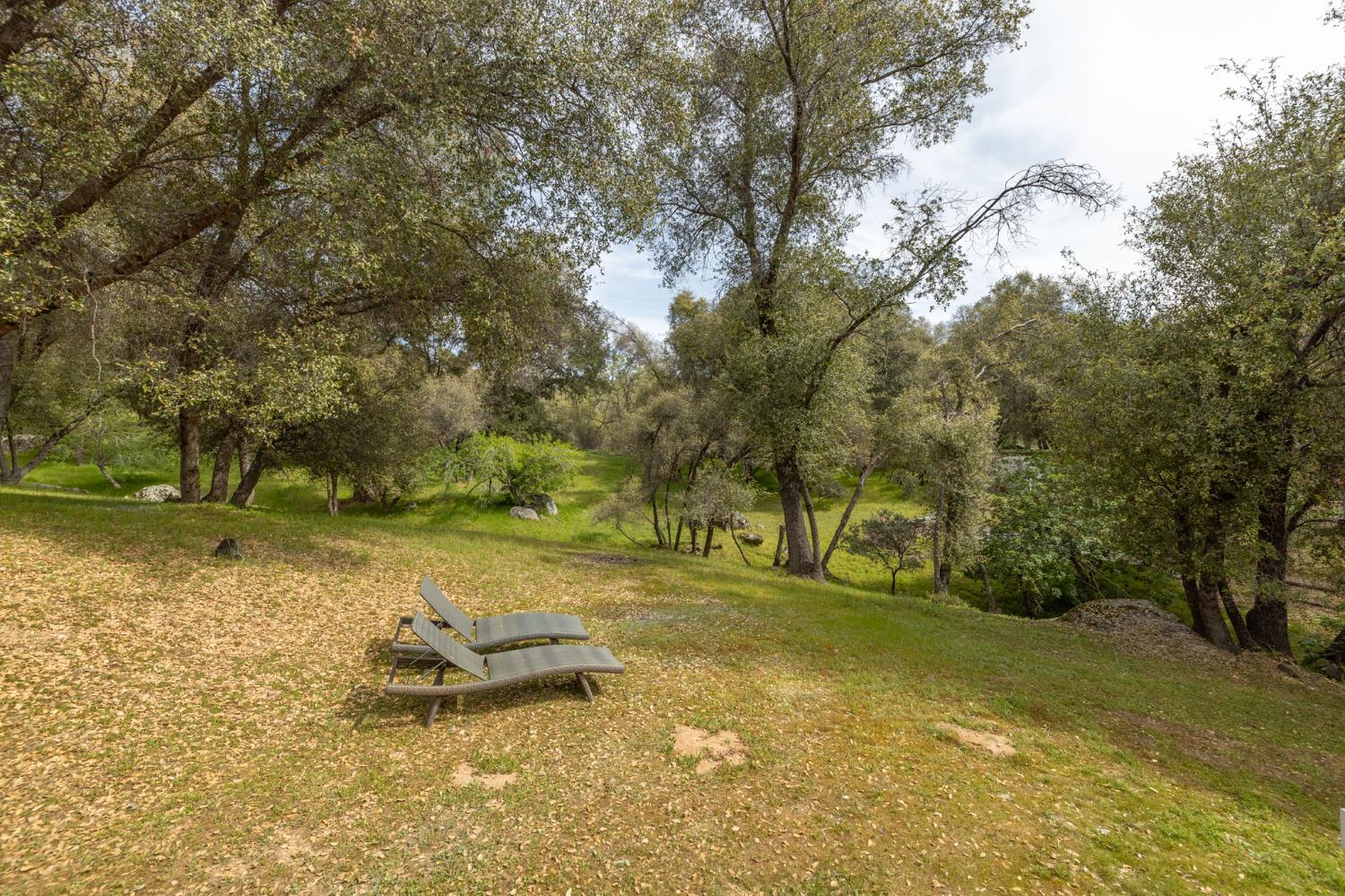 51739 Quail Run Dr, Oakhurst, CA 93644