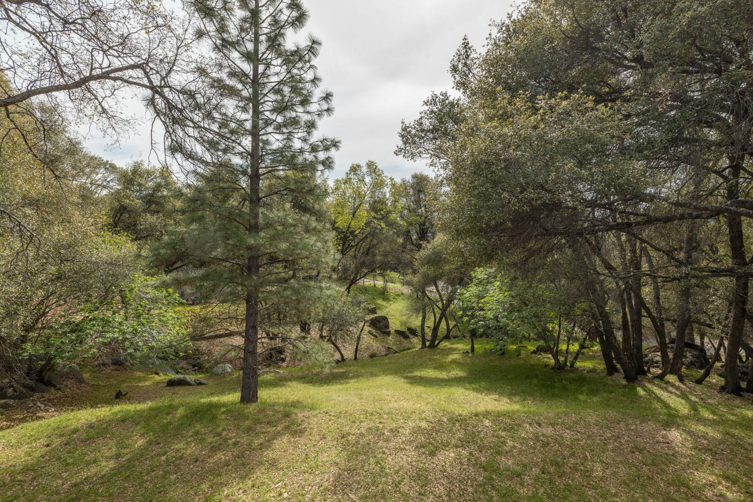 51739 Quail Run Dr, Oakhurst, CA 93644